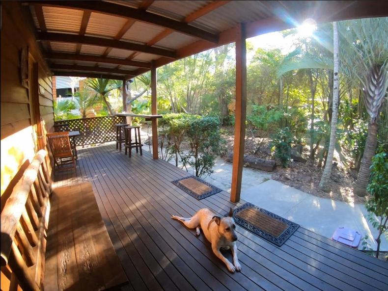 1770 Southern Cross Travellers Retreat Agnes Water Ngoại thất bức ảnh